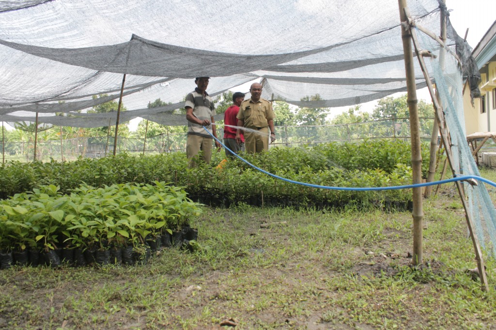 KEBUN SEHAT BERGIZI KECAMATAN