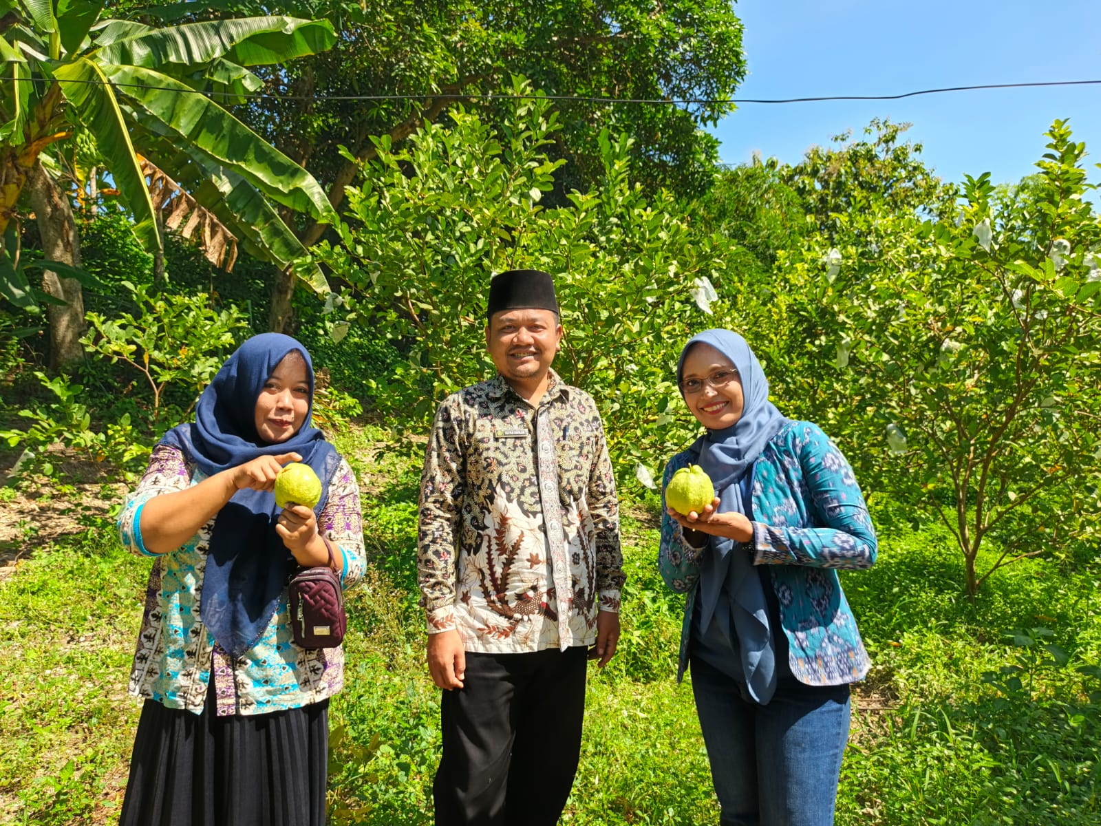 Wisata Edukatif Kebun Jambu Kristal Pokdarwis Sambi Agrong