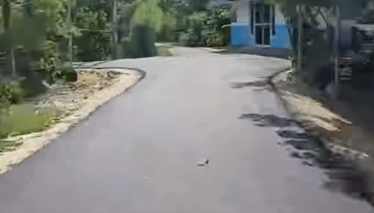Pembangunan Jalan Desa Dukohkidul