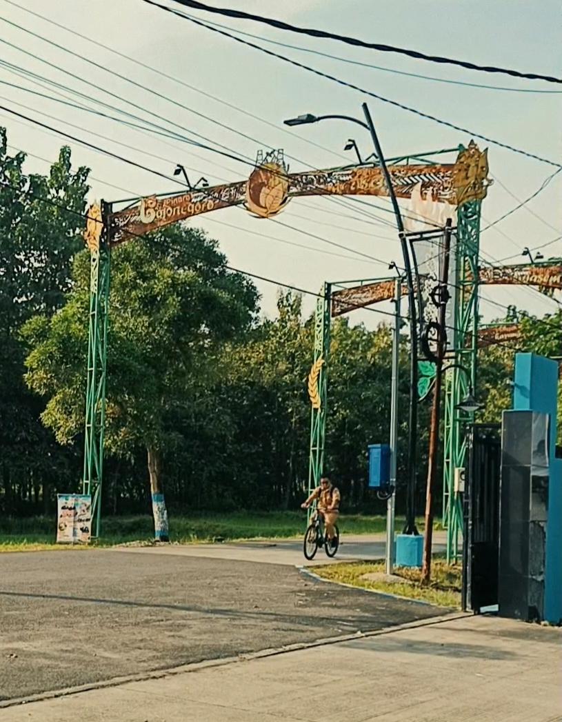 BIKE TO WORK