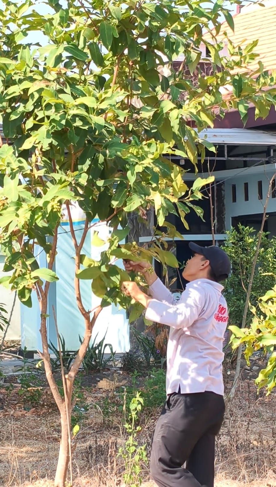 JUMAT BERSIH & GERAKAN BRONGSONG BUAH KECAMATAN NGASEM